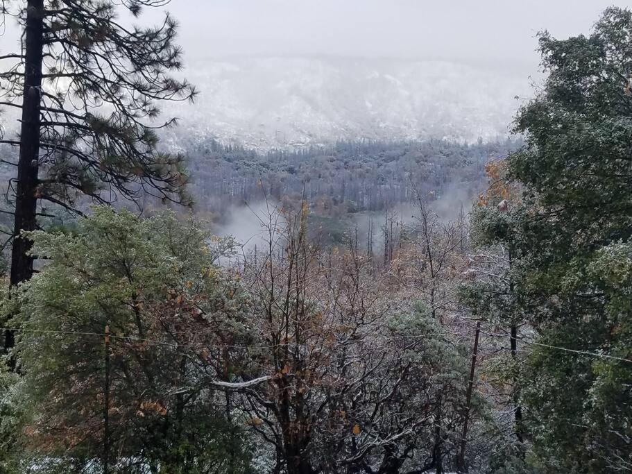 Uncle Grizz'S Cabin...Get Intouch With Nature Bass Lake Annex Exterior foto